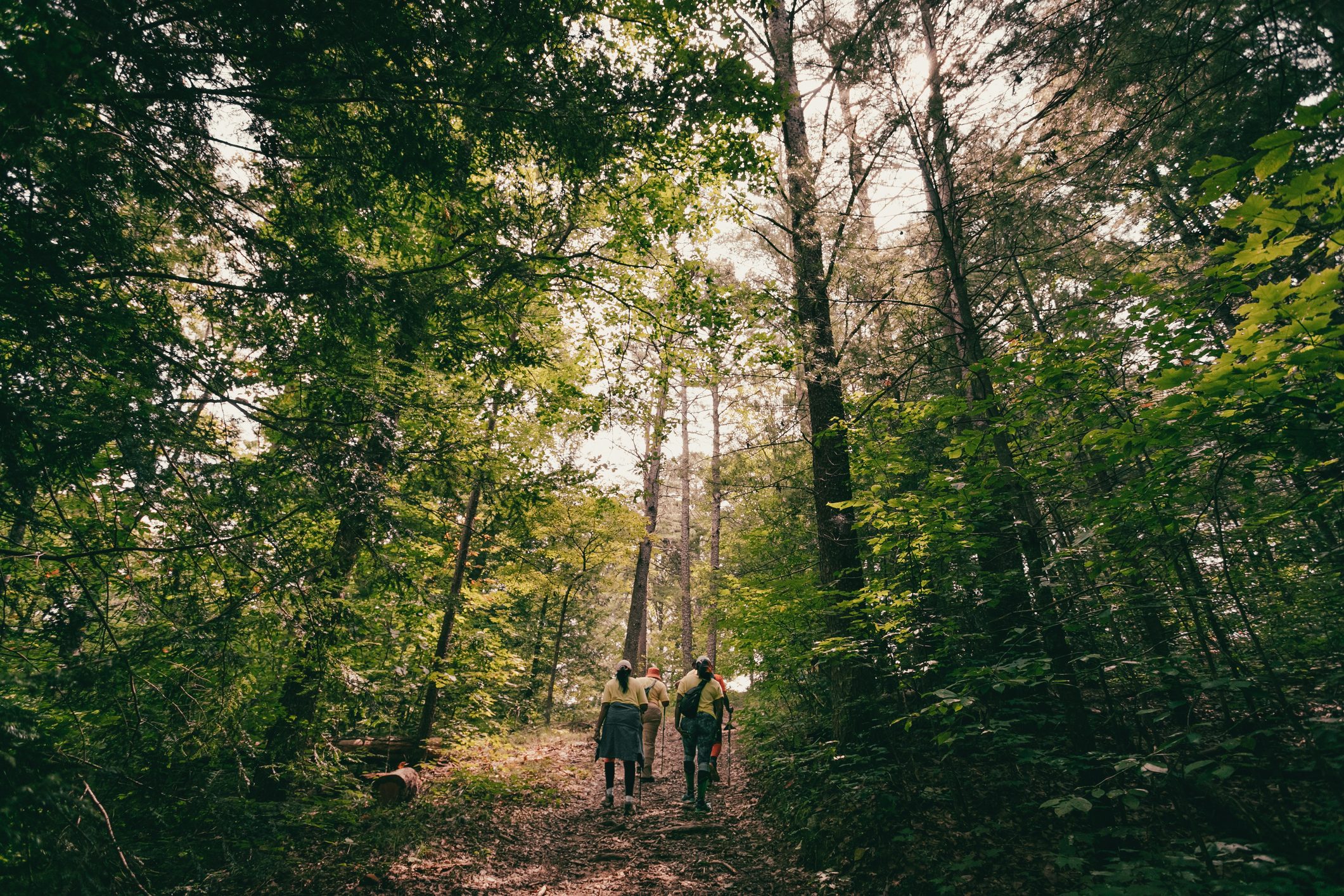Hike at Rock Hawk
