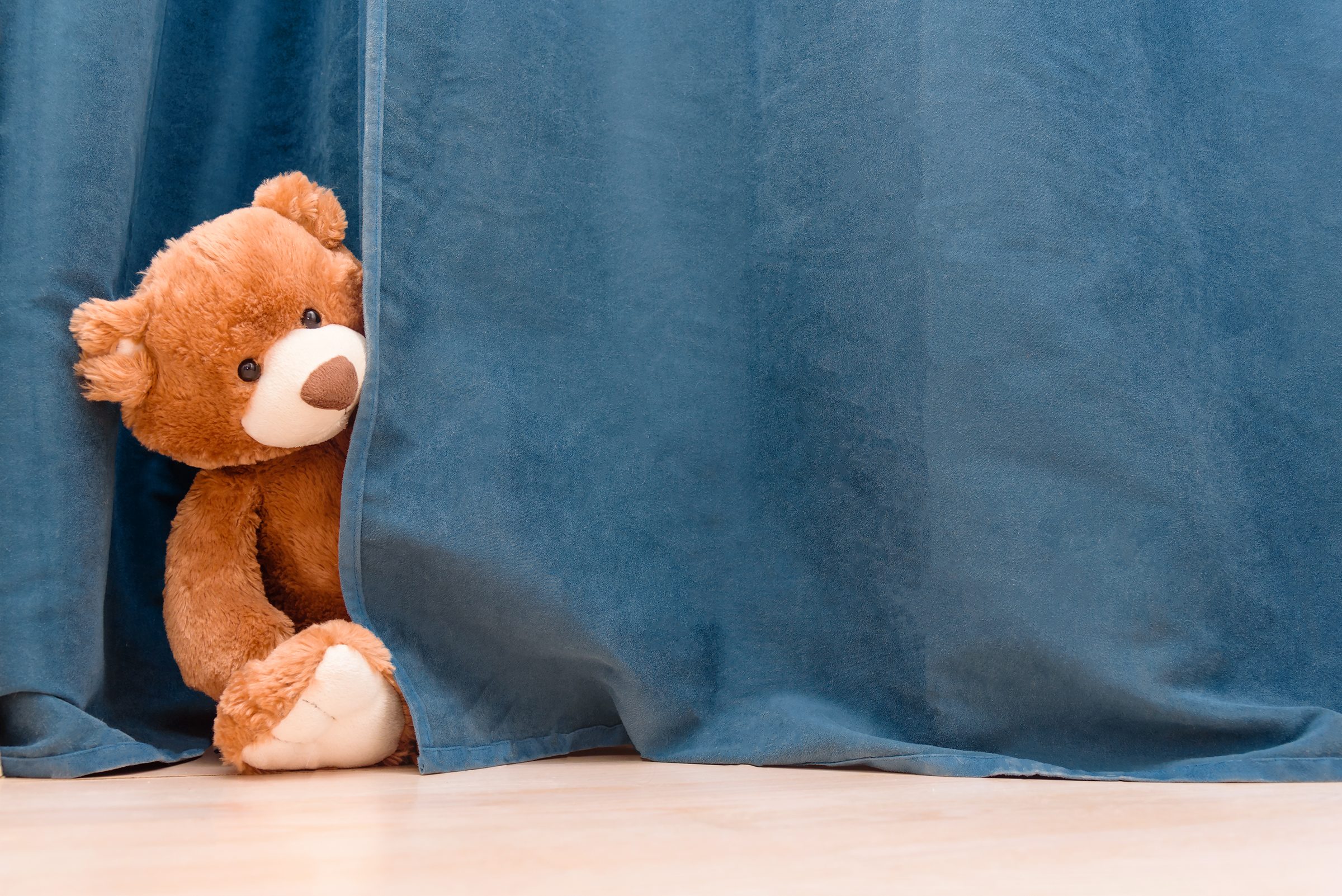 The Teddy Total Takeover