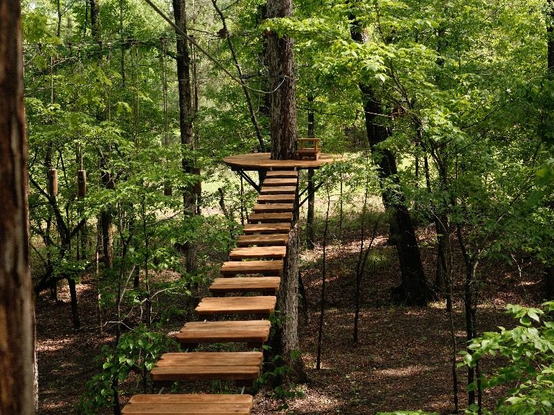 Aerial Adventure Course
